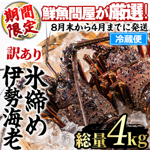 【1353211a】＜訳あり＞朝獲れ発送！鮮魚問屋が厳選した氷締め伊勢海老(4～10尾・総量4kg以上) 伊勢エビ 伊勢えび 刺身 さしみ えび 海老 魚介類 海鮮 刺身 塩焼き 訳あり 訳アリ 【江川商店】 2676068 - 鹿児島県東串良町
