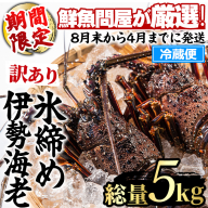 【1683212a】＜訳あり＞朝獲れ発送！鮮魚問屋が厳選した氷締め伊勢海老(5～12尾・総量5kg以上) 伊勢エビ 伊勢えび 刺身 さしみ えび 海老 魚介類 海鮮 刺身 塩焼き 訳あり 訳アリ 【江川商店】