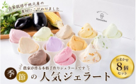 ジェラート セット 8個 11月発送 16000円 / キミノ―カ アイス クリーム スイーツ 野菜 果物【kmk105-nov-8】