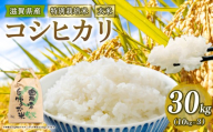 [ 新米予約 ]新米 令和8年産 コシヒカリ 30kg 玄米 特別栽培米 米 R8 年産 こしひかり 2026年産 国産 農家直送 環境こだわり お試し用 単品 小分け 単品 お米 こめ おこめ ライス コメ 精米 おいしい 農家直送 産地直送 人気 おすすめ 30キロ 30kg kome okome koshihikari 2026年産 送料無料 滋賀県 竜王町 [IF108_R8]
