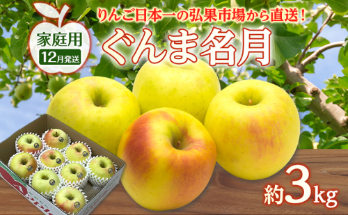 りんご 【 12月発送 】 家庭用 ぐんま名月 約 3kg　リンゴ 林檎 青森りんご 糖度 13度 甘い 酸味 デザート フルーツ 果物 お取り寄せ 産地直送 旬 季節限定 弘果物流 青森県 西目屋村 西目屋村産 2677178 - 青森県西目屋村