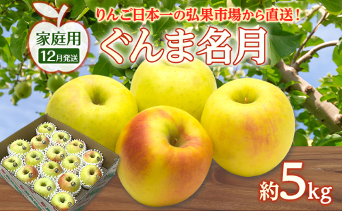 りんご 【 12月発送 】 家庭用 ぐんま名月 約 5kg　リンゴ 林檎 青森りんご 糖度 13度 甘い 酸味 デザート フルーツ 果物 お取り寄せ 産地直送 旬 季節限定 弘果物流 青森県 西目屋村 西目屋村産 2677182 - 青森県西目屋村