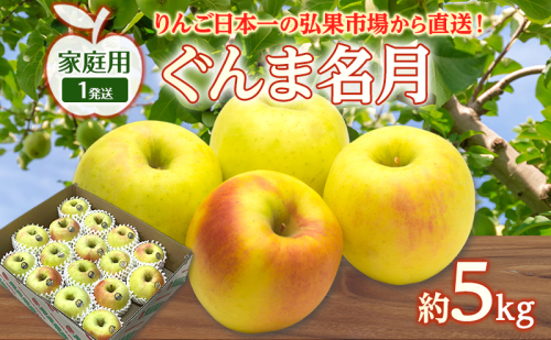 りんご 【 1月発送 】 家庭用 ぐんま名月 約 5kg　リンゴ 林檎 青森りんご 糖度 13度 甘い 酸味 デザート フルーツ 果物 お取り寄せ 産地直送 旬 季節限定 弘果物流 青森県 西目屋村 西目屋村産 2677183 - 青森県西目屋村