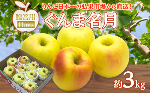 りんご 【 11月発送 】 贈答用 ぐんま名月 約 3kg　リンゴ 林檎 青森りんご 糖度 13度 甘い 酸味 デザート フルーツ 果物 お取り寄せ 産地直送 旬 季節限定 弘果物流 青森県 西目屋村 西目屋村産 2677185 - 青森県西目屋村