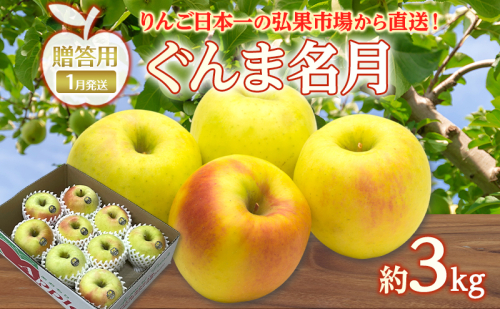 りんご 【 1月発送 】 贈答用 ぐんま名月 約 3kg　リンゴ 林檎 青森りんご 糖度 13度 甘い 酸味 デザート フルーツ 果物 お取り寄せ 産地直送 旬 季節限定 弘果物流 青森県 西目屋村 西目屋村産 2677187 - 青森県西目屋村