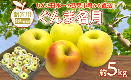 りんご 【 12月発送 】 贈答用 ぐんま名月 約 5kg　リンゴ 林檎 青森りんご 糖度 13度 甘い 酸味 デザート フルーツ 果物 お取り寄せ 産地直送 旬 季節限定 弘果物流 青森県 西目屋村 西目屋村産 2677190 - 青森県西目屋村