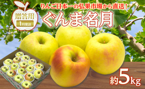 りんご 【 1月発送 】 贈答用 ぐんま名月 約 5kg　リンゴ 林檎 青森りんご 糖度 13度 甘い 酸味 デザート フルーツ 果物 お取り寄せ 産地直送 旬 季節限定 弘果物流 青森県 西目屋村 西目屋村産 2677191 - 青森県西目屋村