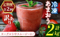 ≪定期便・全2回≫【訳あり】福岡県産 冷凍あまおう(総計2kg・計250g×4袋×毎月連続2回) いちご イチゴ 苺 ストロベリー 果物 フルーツ おやつ デザート 訳アリ わけあり サイズ不揃い 規格外 冷凍 定期便 頒布会【木村食品】as46-059