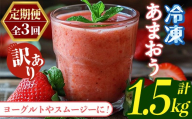 ≪定期便・全3回≫【訳あり】福岡県産 冷凍あまおう(総計1.5kg・計250g×2袋×毎月連続3回) いちご イチゴ 苺 ストロベリー 果物 フルーツ おやつ デザート 訳アリ わけあり サイズ不揃い 規格外 冷凍 定期便 頒布会【木村食品】as46-058