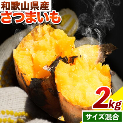 ​さつまいも 厳選 混合サイズ 2kg 在来種 みはらファーム《12月中旬‐5月上旬頃出荷》和歌山県 日高川町 みはらファーム さつま芋 薩摩芋 いも 芋 蜜いも サツマイモ 小容量 さつま芋 スイートポテト 焼き芋
 2677492 - 和歌山県日高川町