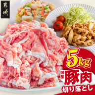 国産豚肉切り落とし5kg(250g×20P)_MJ-89-008-5kg