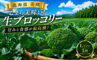 [令和8年産]ブロッコリー 5株 Lサイズ 美瑛産 舟山農園 | ブロッコリー 北海道 美瑛町産 美瑛町 美瑛 びえい 新鮮 フレッシュ 朝採れ 朝どれ 採れたて とれたて野菜 サラダ 産地直送 農家直送 5個 5こ 5コ [008-42]