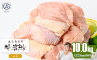 鹿児島県産若鶏ムネ肉 計10kg(2kg×5P) 鶏肉 とり肉 鳥肉 鶏ムネ肉 若鶏 真空 真空パック 保存 唐揚げ 煮物 鍋 おかず お弁当 b3-029