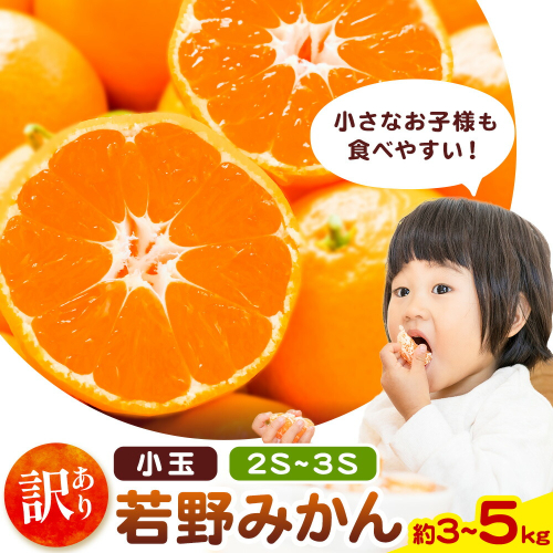 和歌山県産 訳あり 小玉若野みかん (2S-3Sサイズ) みかん 小玉 選べる内容量 約3kg 約5kg《11月下旬-12月下旬頃出荷》　マルエイ農園 和歌山県 日高川町 果物 フルーツ 訳ありみかん 家庭用 みかん 3kg 5kg みかん 2677736 - 和歌山県日高川町