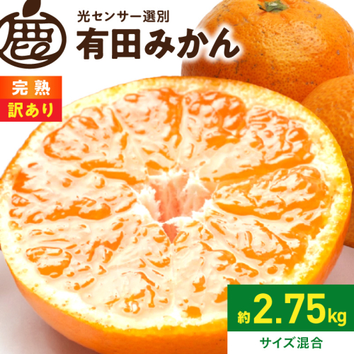 《2026年11月上旬～2027年1月下旬頃に順次発送》【2026年先行予約】家庭用 完熟有田みかん約2.5kg+250g（傷み補償分）【わけあり・訳あり】【光センサー選果】_ZH7127 2677780 - 和歌山県湯浅町