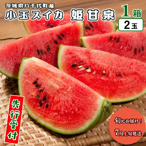 【 先行予約 2026年7月上旬以降発送開始】 八千代町産 小玉スイカ 姫甘泉 1箱 （2玉入り） すいか スイカ 西瓜 小玉 果物 フルーツ お取り寄せ 産地直送 茨城県 [AV011ya] 2677788 - 茨城県八千代町