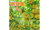 361M.新甘泉5kg■東商果樹園■