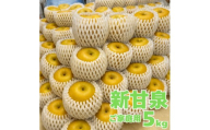 362M.新甘泉5kg〔ご家庭用〕■東商果樹園■