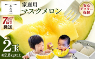 メロン 家庭用 2玉入り [7日程度で発送]一果相伝マスク 最短配送 果物 フルーツ ギフト 家庭用 美味しい 甘い ケーキ あまい 産地直送 4月 5月 父の日 母の日 高知県 香南市 常温 メロン tn-0063