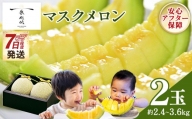 【7日程度で発送】一果相伝マスクメロン 2玉入り - 最短配送 送料無料 めろん 青肉 果物 くだもの フルーツ 贈答用 贈答品 贈り物 ギフト 産地直送 篤農 高知県 香南市 常温 tn-0065
