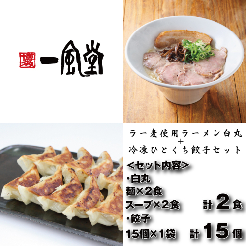 ZF184.【一風堂】白丸ラー麦麺2食とひとくち餃子1袋セット【豚骨ラーメン】 2677939 - 福岡県新宮町