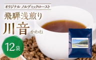 ノルディックロースト 飛騨浅煎り 川音×12袋 (コーヒーバッグ)|少量焙煎 煎りたて 久々野 飛騨 高山 コーヒー コロンビアスプレモ ノルディックコーヒー あそびばコーヒー栄徳屋