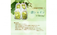 香川産 シャインマスカット「讃シャイン」３～５房（2kg以上）