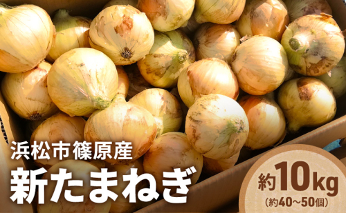 浜松市篠原産「新たまねぎ（黄色）約10kg（約40〜50個）」 たまねぎ 玉葱 玉ねぎ 野菜 食べやすい 上品な食感 サラダ 前菜 煮物 スープ やさしい旨み 自家採種 静岡 浜松市【配送不可：北海道・沖縄・離島】 2678512 - 静岡県浜松市