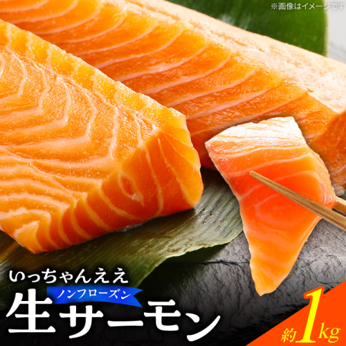 いっちゃんええ【ノンフローズン】生サーモン 全て手作業 約1kg_FJ1001 2678516 - 和歌山県湯浅町