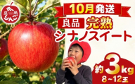 先行予約 贈答用 りんご 3kg シナノスイート 良品 [10月発送] 農家直送 果物 フルーツ 林檎 リンゴ シャキシャキ 国産 産地直送 くだもの デザート 特産品 ご当地 贈答 朝食 昼食 夕食 おやつ 新鮮 プレミアム 甘い 酸味 果汁 今が旬 旬 秋 おすすめ 美味しい ジューシー ringo apple 岩手県 盛岡市 東北 岩手 盛岡 田村ふぁーむ tamura011
