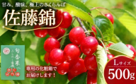 さくらんぼ 佐藤錦 L 500g 6月下旬発送 期間限定 季節限定 大粒 果汁 甘 ジューシー 人気 果物 くだもの チェリー フルーツ sakuranbo cherry 国産 産地直送 お取り寄せ 贈り物 プレゼント 岩手県 盛岡市 東北 岩手 盛岡 田屋果樹園