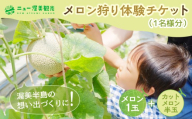 【先行予約】メロン狩り体験チケット メロン めろん マスクメロン フルーツ 果物 愛知県 田原市 渥美半島 お取り寄せ スイーツ ニュー渥美観光 1玉 体験 メロン狩り チケット