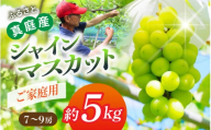 [ご家庭用]降水量の少ない岡山の自然がはぐくむシャインマスカット「晴天ぶどう」 約5kg (7〜9房)| シャインマスカット 果物 フルーツ マスカット ますかっと くだもの 先行予約 ブドウ 葡萄 ぶどう 真庭市 シャインマスカット しゃいんますかっと shinemuscat ブドウ 葡萄 果物 くだもの フルーツ 新着 人気 岡山県産シャインマスカット マスカット [beac003-01]