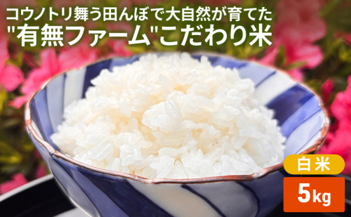 米 コウノトリ舞う田んぼで大自然が育てた"有無ファーム"こだわり米 白米 5kg 精米 お米 栽培期間中農薬・化学肥料不使用 2678666 - 兵庫県加西市