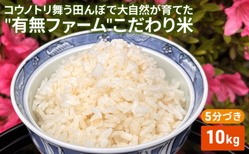 米 コウノトリ舞う田んぼで大自然が育てた"有無ファーム"こだわり米 5分づき 10kg お米 栽培期間中農薬・化学肥料不使用 2678669 - 兵庫県加西市