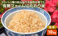 米 コウノトリ舞う田んぼで大自然が育てた有無ファームこだわり米 玄米 10kg お米 栽培期間中農薬・化学肥料不使用