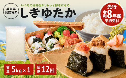 定期便 米 令和8年産 先行受付 しきゆたか 白米 5kg 12か月連続お届け お米 精米 単一原料米 お弁当 おにぎり 冷めても美味しい 農業支援 就労者支援 日用品 2678680 - 兵庫県加西市