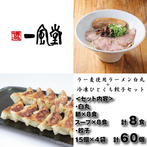 AC362.【一風堂】白丸ラー麦麺8食とひとくち餃子4袋セット【豚骨ラーメン】 2678681 - 福岡県新宮町