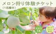 《 先行予約 》マルカ農園　メロン狩りチケット メロン メロン狩り めろん 箱詰め どうまい 定期便 フルーツ 果物 愛知県 田原市 産地直送 夏 糖度 青肉 人気 ご家庭用 ド甘い 高級 国産 くだもの おいしい