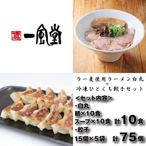 AE305.【一風堂】白丸ラー麦麺10食とひとくち餃子5袋セット【豚骨ラーメン】 2679006 - 福岡県新宮町