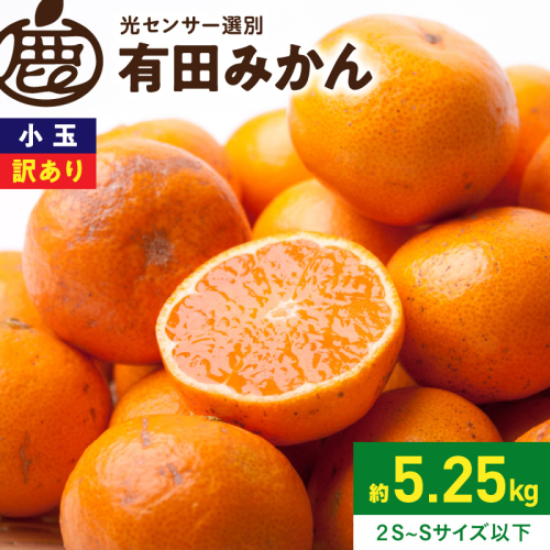 《2026年11月上旬～2027年1月上旬頃に順次発送》【2026年先行予約】家庭用 小玉な有田みかん約5kg+250g（傷み補償分）【わけあり・訳あり】【光センサー選果】_ZH7109 2679085 - 和歌山県湯浅町
