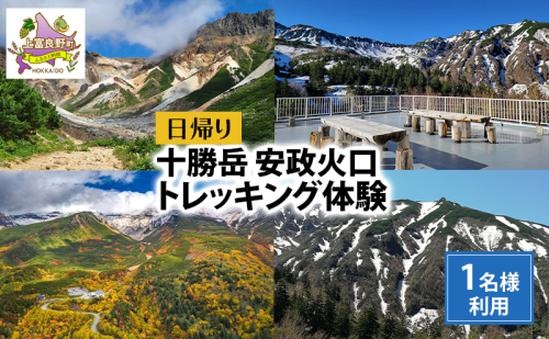 湯元 凌雲閣 日帰り 安政火口 トレッキング 体験 北海道 上富良野 サマー アクティビティ 十勝岳 夏期 2679104 - 北海道上富良野町