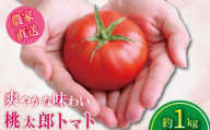 【2027年1月発送】 トマト 約1kg  桃太郎 先行予約 甘い 野菜 やさい 国産 産地直送 数量限定 旬 桃太郎トマト 生野菜 新鮮 ソース 調味料 ケチャップ サラダ 美容 新鮮 健康 お取り寄せ グルメ おすすめ 人気 徳島県 小松島市