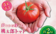 【2027年2月発送】 トマト 約2kg 桃太郎 先行予約  甘い 野菜 やさい 国産 産地直送 数量限定 旬 桃太郎トマト 生野菜 新鮮 ソース 調味料 ケチャップ サラダ 美容 新鮮 健康 お取り寄せ グルメ おすすめ 人気 徳島県 小松島市