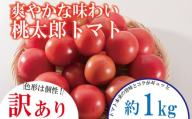 【訳あり】【2027年3月発送】トマト 約1kg 桃太郎 先行予約  甘い 野菜 やさい 国産 産地直送 数量限定 旬 桃太郎トマト 生野菜 新鮮 ソース 調味料 ケチャップ サラダ 美容 新鮮 健康 お取り寄せ グルメ おすすめ 人気 5000 5000円 五千円 5000円以内 徳島県 小松島市