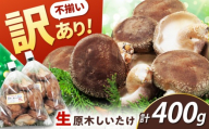 【訳あり】不揃い 原木しいたけ 400g（200g×2袋）椎茸 しいたけ シイタケ 訳あり 国産 岐阜 白川町 / 清水しいたけ園 [AWAY002]
