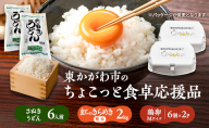 東かがわ市のちょこっと食卓応援品「鶏卵Mサイズ（6個×2P）虹のきらめき（精米2kg）うどん6人前」 たまご 卵 鶏卵 米 精米 うどん セット