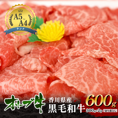 牛肉 オリーブ牛 黒毛和牛 香川県産 国産 瀬戸内 讃岐 切り落とし 600g 300g × 2p 焼きしゃぶ すき焼き 牛丼 肉じゃが 炒め物 鍋 牛切り落とし A4 A5 和牛 牛 うし お肉 肉 ミートショップ 松屋 香川 香川県 東かがわ市 2679685 - 香川県東かがわ市