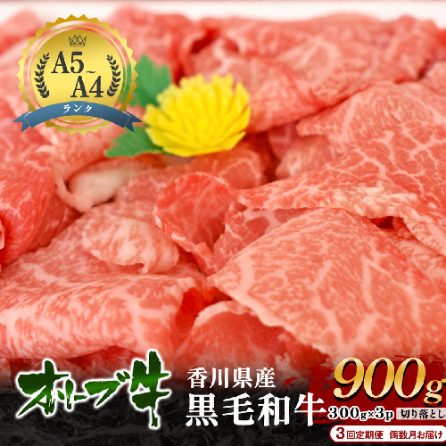 牛肉 定期便 3回定期便 偶数月お届け 隔月 オリーブ牛 黒毛和牛 香川県産 国産 切り落とし 900g 300g × 3p 焼きしゃぶ すき焼き 牛丼 肉じゃが 炒め物 鍋 定期 お楽しみ 3回 牛切り落とし A4 A5 和牛 牛 うし お肉 肉 香川 香川県 東かがわ市 2679691 - 香川県東かがわ市