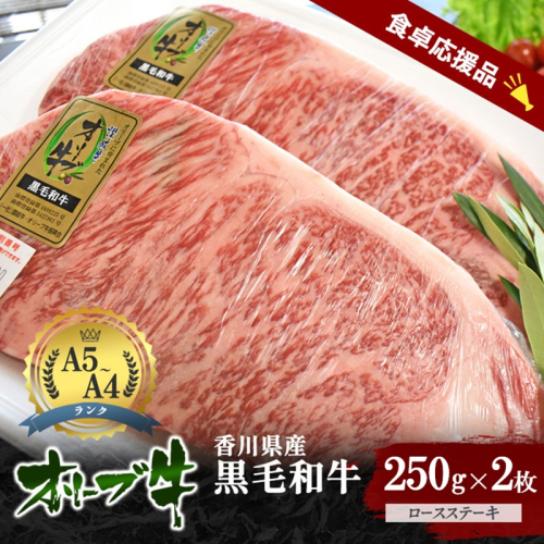 「期間限定」香川県産黒毛和牛オリーブ牛「ロースステーキ 250g×2枚」牛肉 肉 お肉 和牛 香川 香川県 東かがわ市 2679695 - 香川県東かがわ市